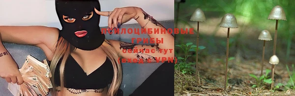 прущая мука Бугульма