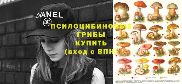 соль курить ск Богданович